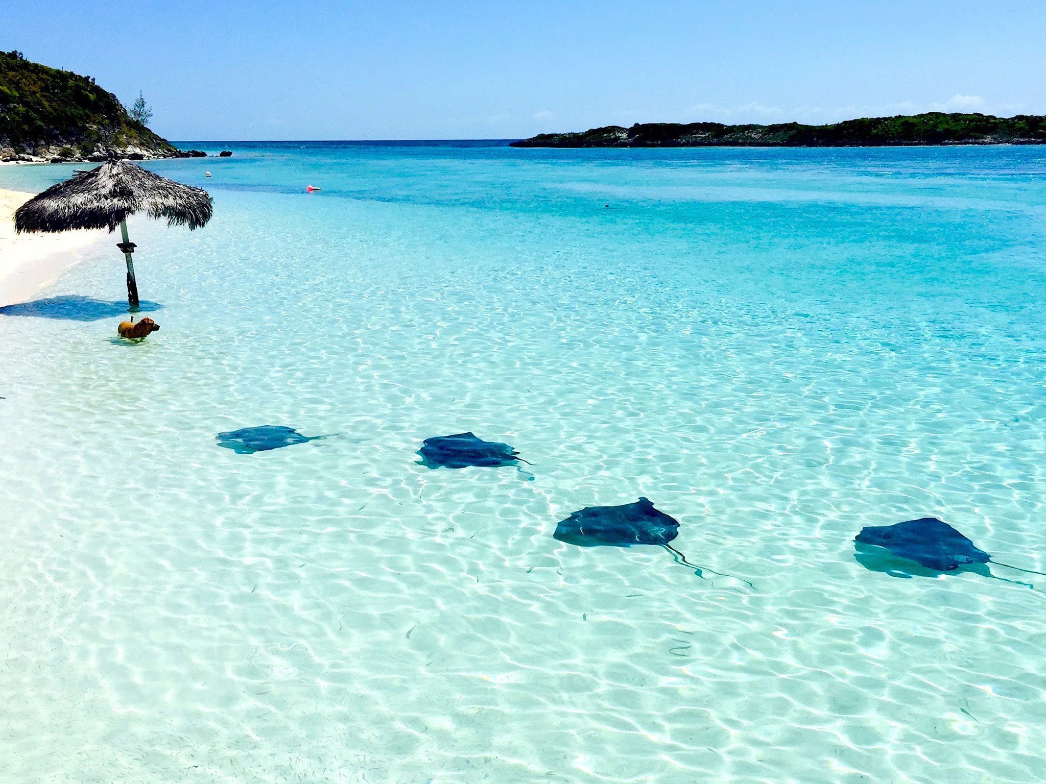 bahamas
